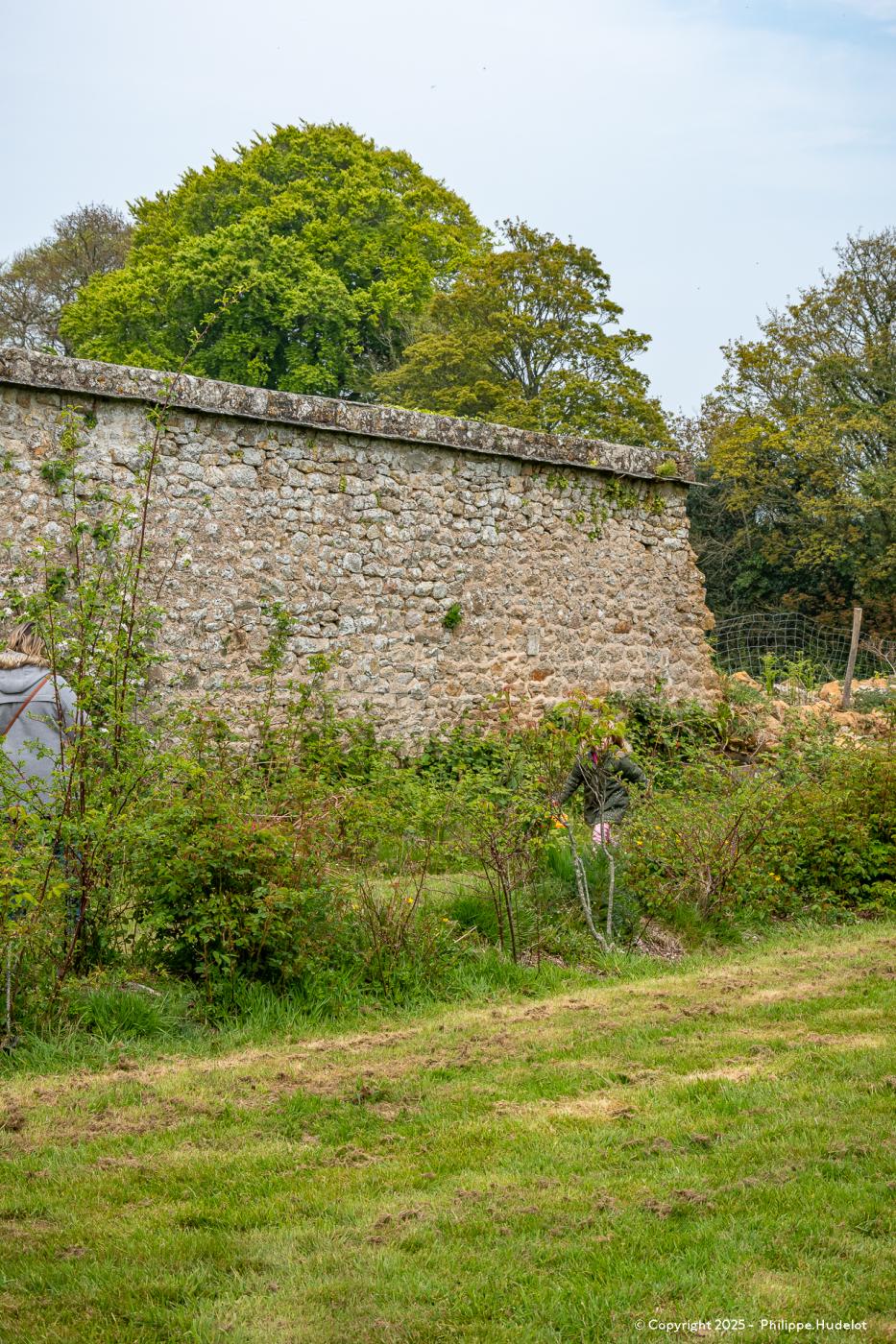 chasse-oeufs-04-2025