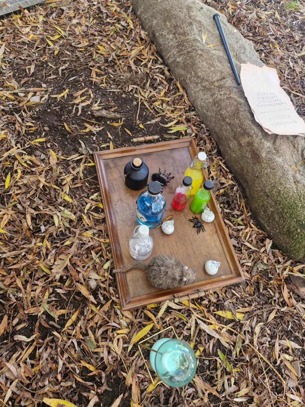 La chasse aux montres 2025