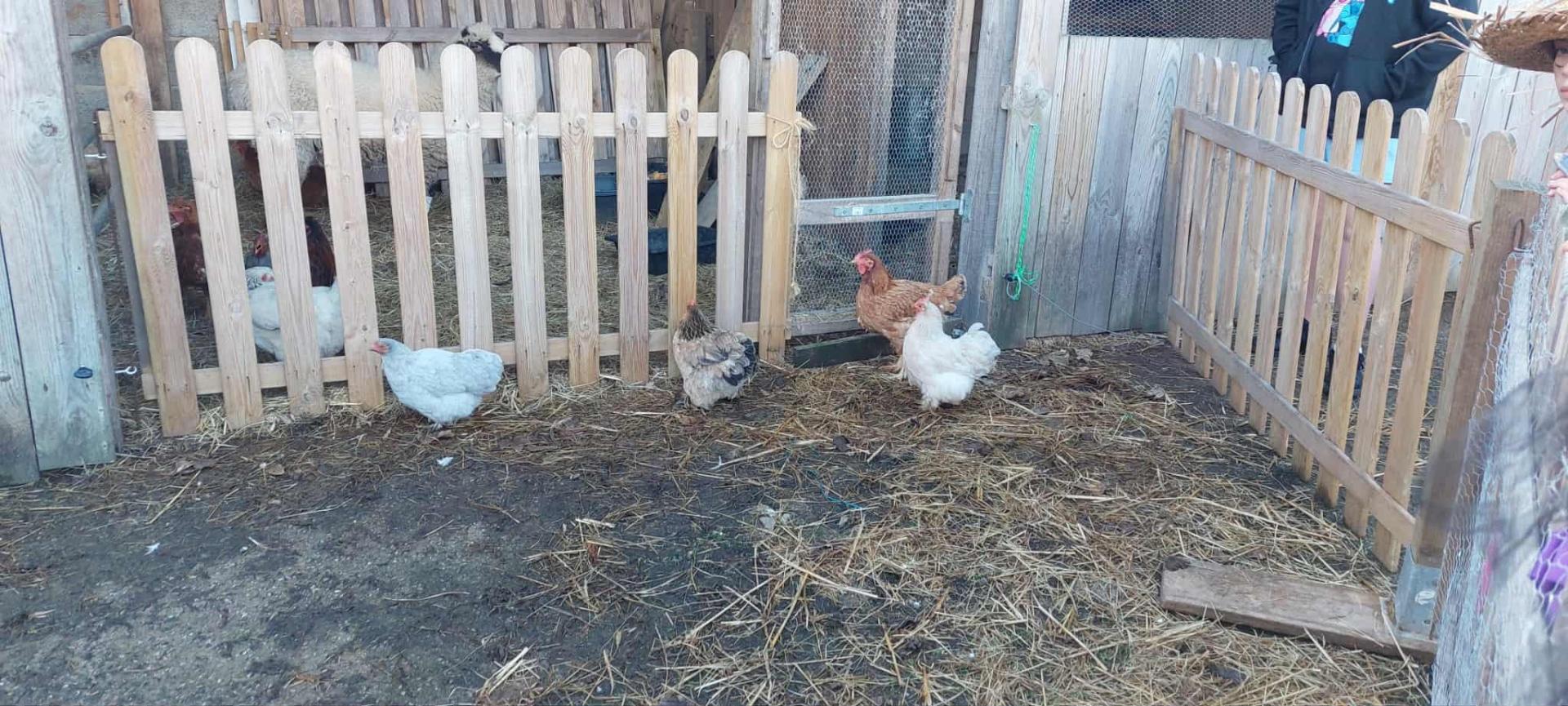 La chasse aux montres 2025