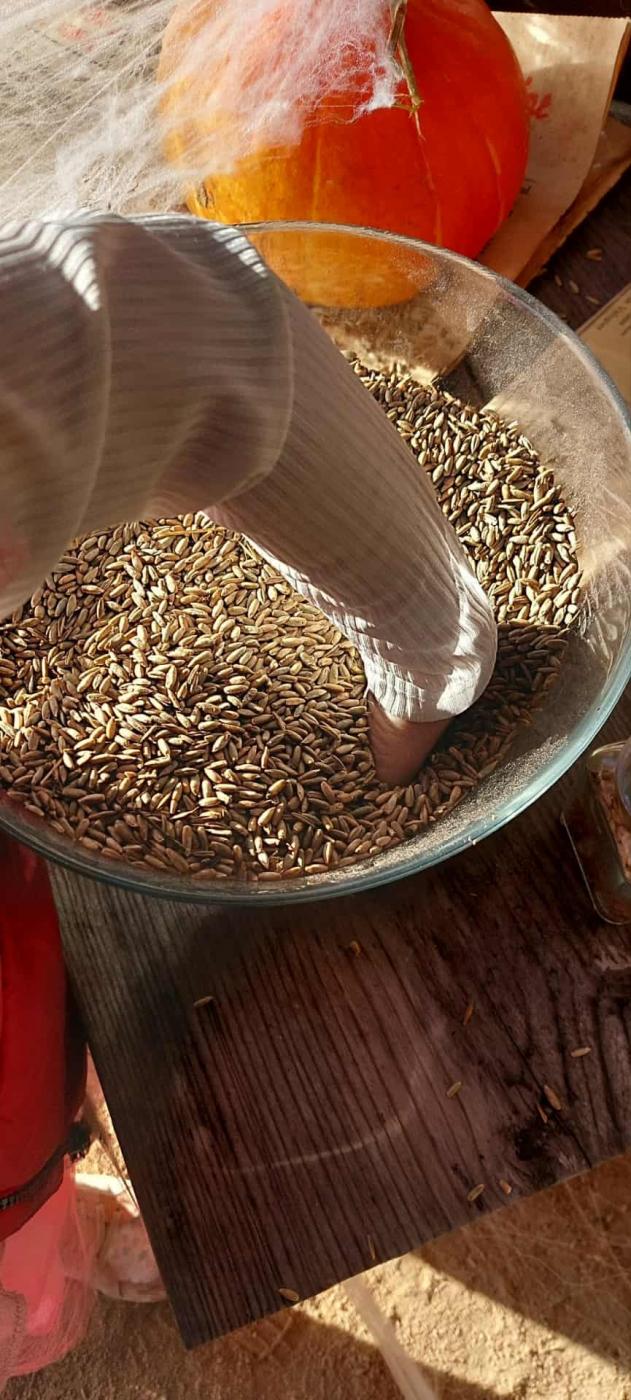 La chasse aux monstres 2025